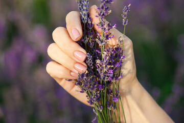 Bouquet of lavender in the hands, blurred background