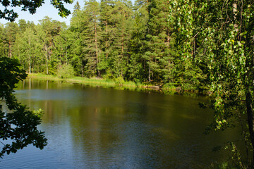 Fototapeta na wymiar Beautiful forest lake on quiet sunny summer day. Travel and vacation concept