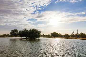 A Lake view from Al Qudra lakes Dubai United Arab Emirates.