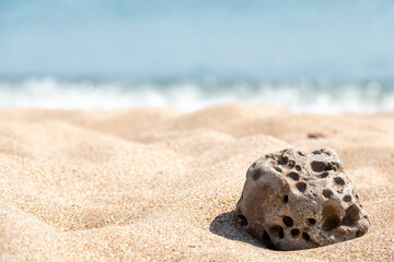 A seashell on the beach. A seashell and a sandy beach on a blurred background of the sea. Conch shell on beach with waves.