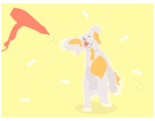 drying dogs with a hair dryer after bathing