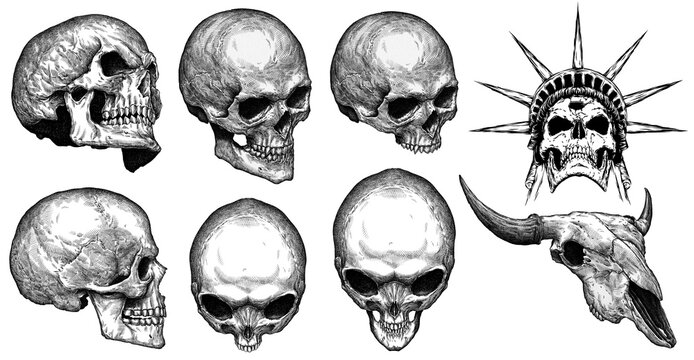 Vintage engrave isolated skull set illustration ink skeleton sketch. Human head background line hell bone art