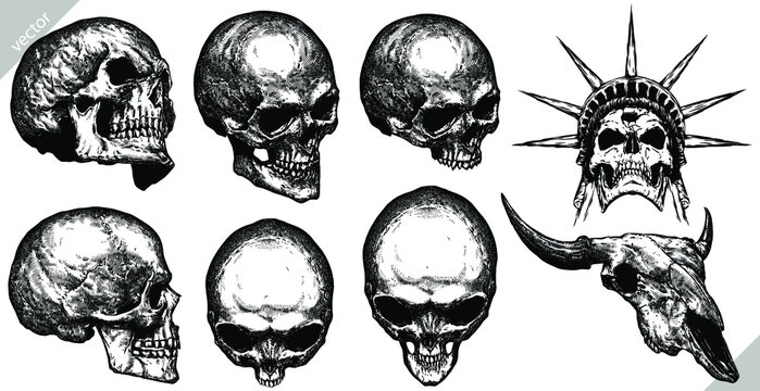Vintage engrave isolated skull set illustration ink skeleton sketch. Human head background line hell bone vector art