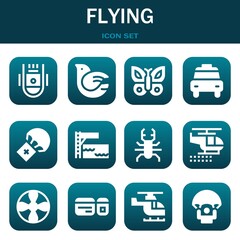 flying icon set. Vector illustrations related with Space capsule, Dove and Butterfly