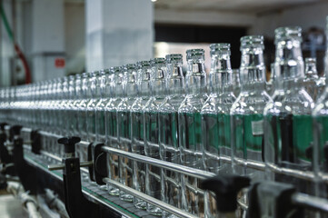 Conveyor belt carries clean glass bottles for alcohol drinks