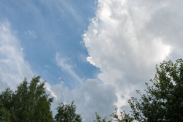 Fototapeta premium Blue sky with clouds over the trees