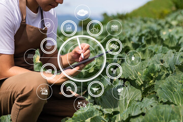 Agriculture technology farmer woman holding tablet or tablet technology to research about...
