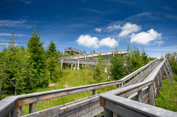 Fototapeta na wymiar wooden walkway of Gäggersteg in Naturpark Gantrisch