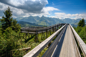 Obraz premium wooden walkway of Gäggersteg in Naturpark Gantrisch