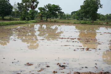Agricultural land and land preparation before planting