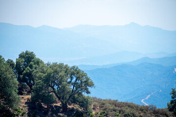 Obraz premium Scenic view of Mountains, The Mediterranean Sea and dense Forests from Skikda, Algeria