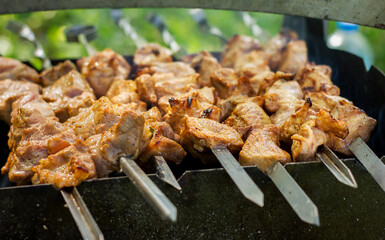 pork skewers barbecued in brown golden color on a metal mangel and the background of green grass	