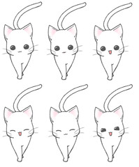 こちらに向かって歩く白猫6パターン