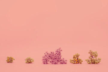 Composition of pink delicate wild flowers close-up. Copy space. Minimal style