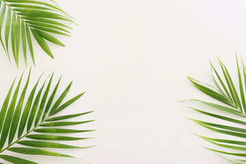 Naklejka na ściany i meble Image of tropical green palm over white wooden background