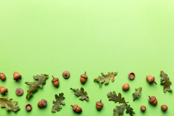 Branch with green oak tree leaves and acorns on colored background, close up top view