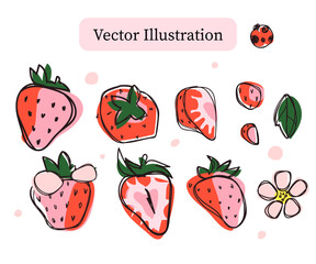 Set of Strawberry Hand Drawn Isolated Vector Illustration. Trendy paper cut shapes and linear graphic elements. Perfect for juice, jam, milk food packaging as well as for cosmetic visual branding.