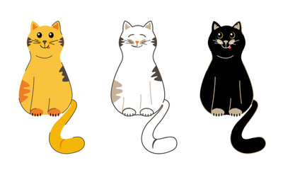 Cats on a white background: red, white, black.