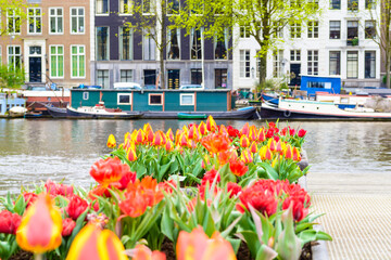 Tulpen am Kanal