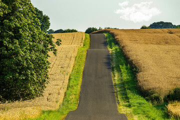 Fototapeta premium Road