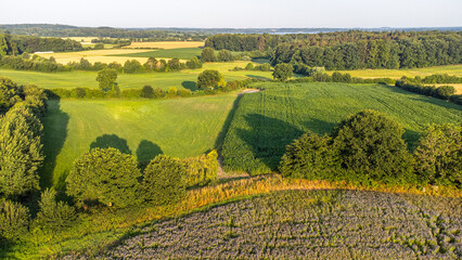 Obraz premium Landscape