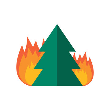 danger of forest fire burning fir trees illustration