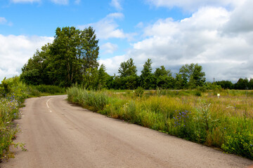Fototapeta na wymiar Summer landscape. Road between fields. Sky with clouds.