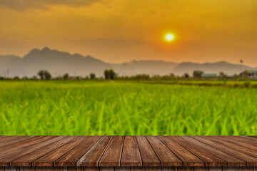 Wooden table and blur of beauty on a sunset day on a field with sky and mountains in the background..
