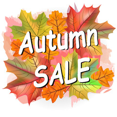 Autumn sale vector banner. Fall illustration background. Layout for poster, discount labels, flyers