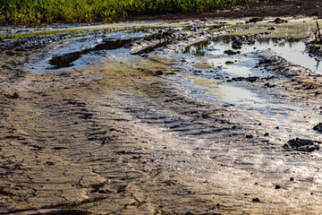 a fragment of a rural country road soaked from the rain (Corrected)