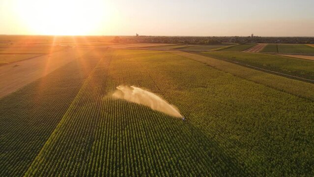 Aerial view drone shot of rain gun sprinkler irrigation system on agricultural corn field at sunset helps to grow plants in the dry season. Landscape, rural scene