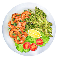 Toasty asparagus with fried shrimps watercolor