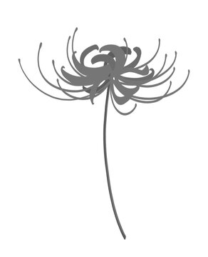 和風イラスト Images Browse 298 Stock Photos Vectors And Video Adobe Stock 和風イラスト Images Browse 298 Stock Photos Vectors And Video Adobe Stock