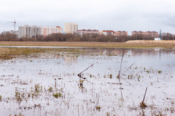 A shallow swamp with grass poking out of the water with a cloudy sky reflecting on it. Residential houses are in the far away