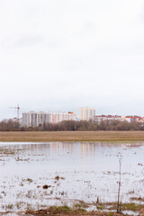 A shallow swamp with grass poking out of the water with a cloudy sky reflecting on it. Residential houses are in the far away