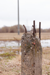 A closeup of a concrete block with iron rods poking up from it. A swamp with a dry grass can be seen in the blurry background
