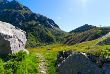 Close-up of hiking trail with meadow and flowers at the south side of Swiss Gotthard Pass on a sunny summer day. Photo taken June 25th, 2022, Gotthard Pass, Switzerland.