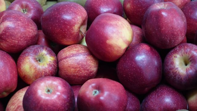 Pile of Delicious Red Apple