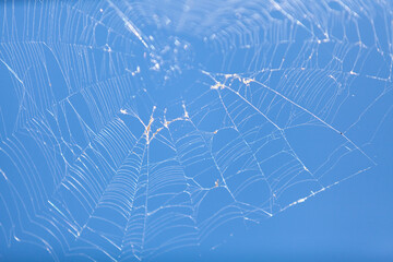 Round web on a blue background....