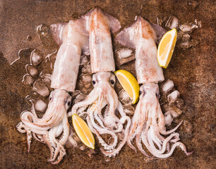 Fresh squids octopus or cuttlefish. Raw squids on dark background seafood, raw squids with crushed...