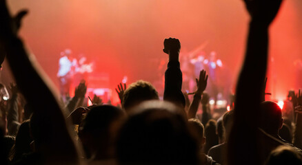crowd at concert - summer music festival