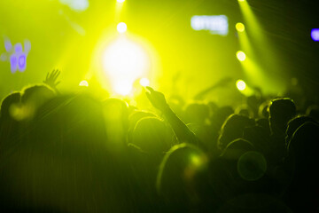 crowd at concert - summer music festival
