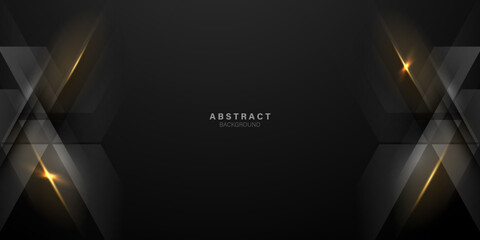 vector abstract luxury black background with golden elements modern creative concept