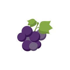grape vector icon design illustration