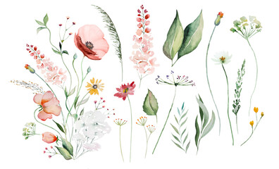 Bouquet made of watercolor wildflowers and leaves, wedding and greeting illustration elements - obrazy, fototapety, plakaty
