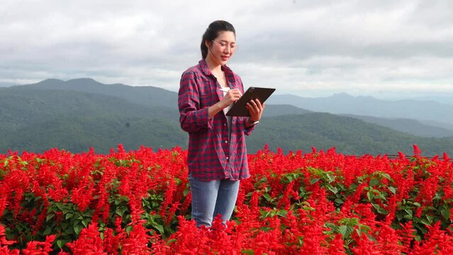 Asian Female farmer using digital tablet in flowerr field in morning light.