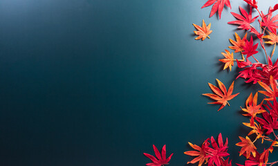 Autumn and thanksgiving decoration concept made from autumn leaves on dark background. Flat lay,...