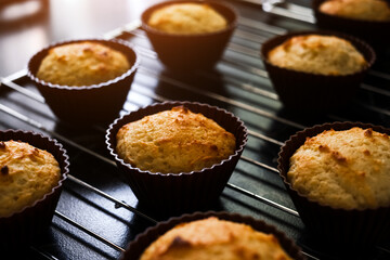  vanilla muffin top view close-up. desserts and pastries for tea