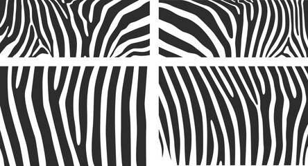 Zebra Pattern Background Design Set