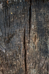 old dark wooden background with cracks and cobwebs, texture